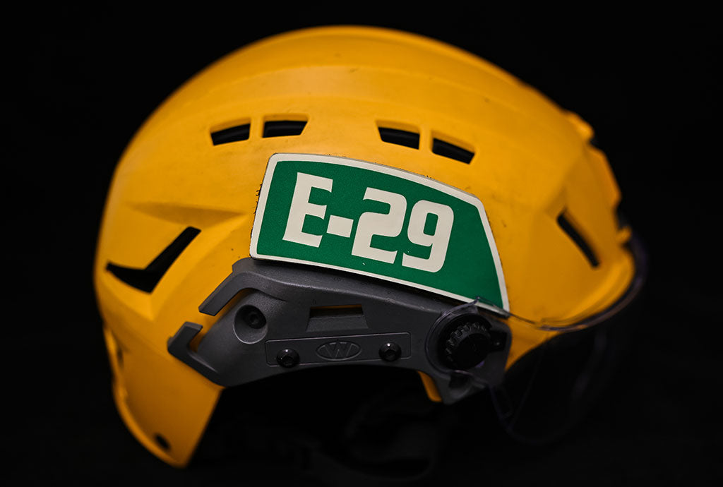 Team Wendy Helmet Passports (set of 2)